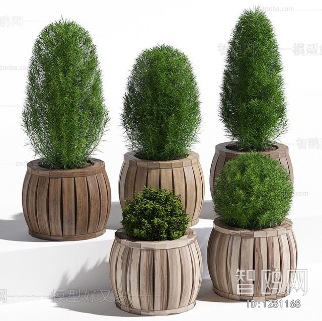 Modern Potted Green Plant