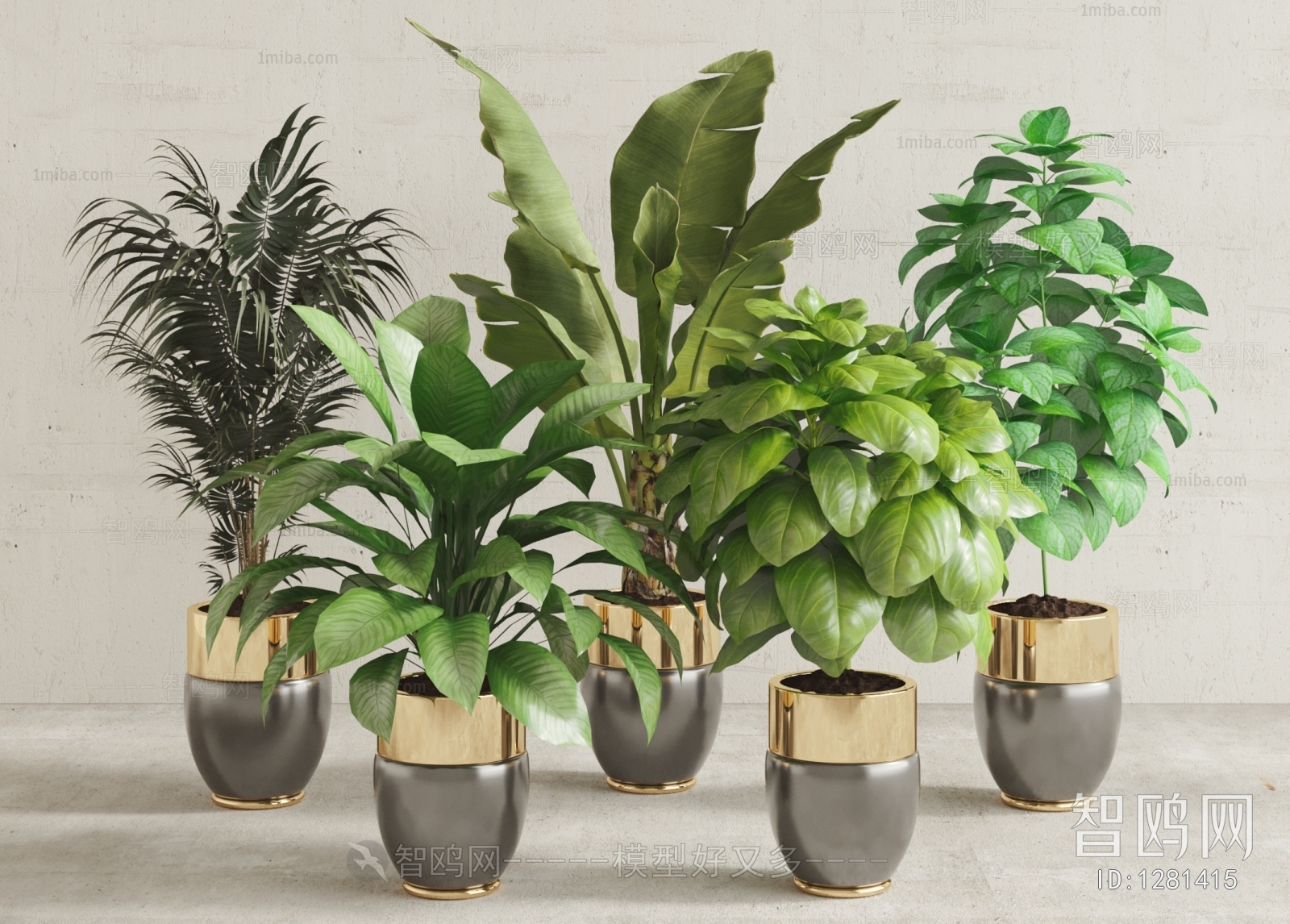 Modern Potted Green Plant