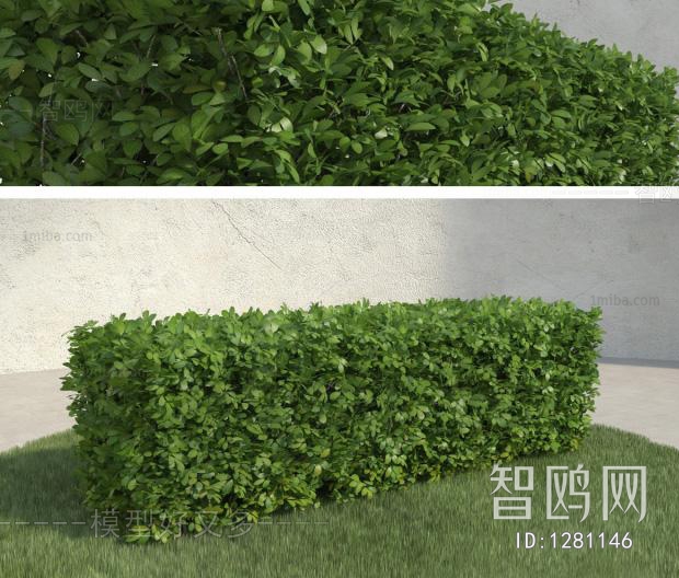 Modern Shrubbery