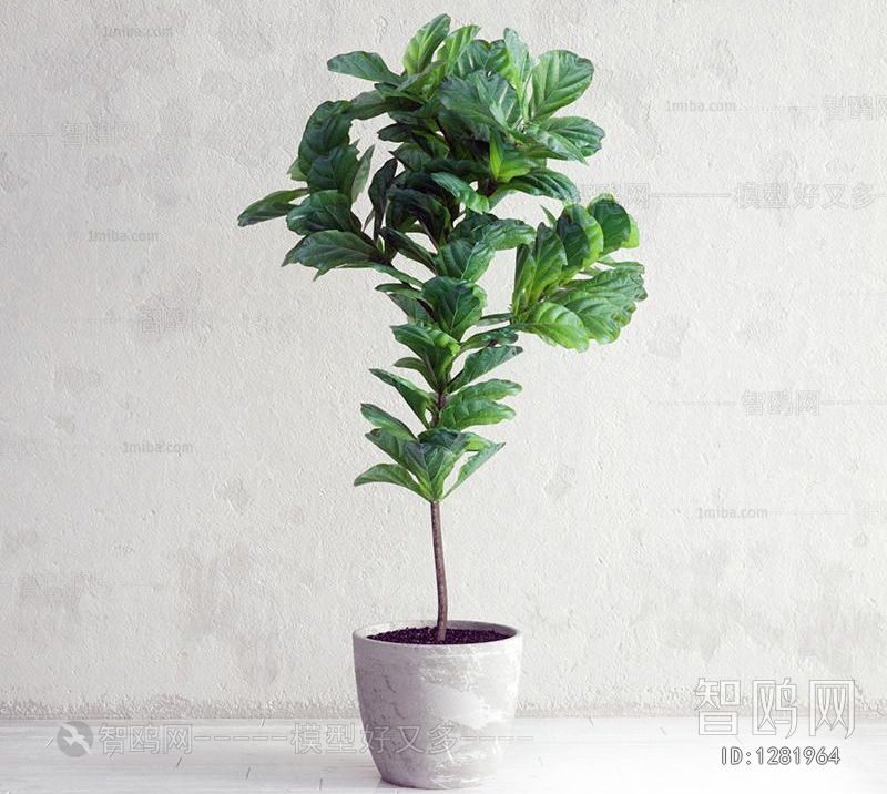 Modern Potted Green Plant