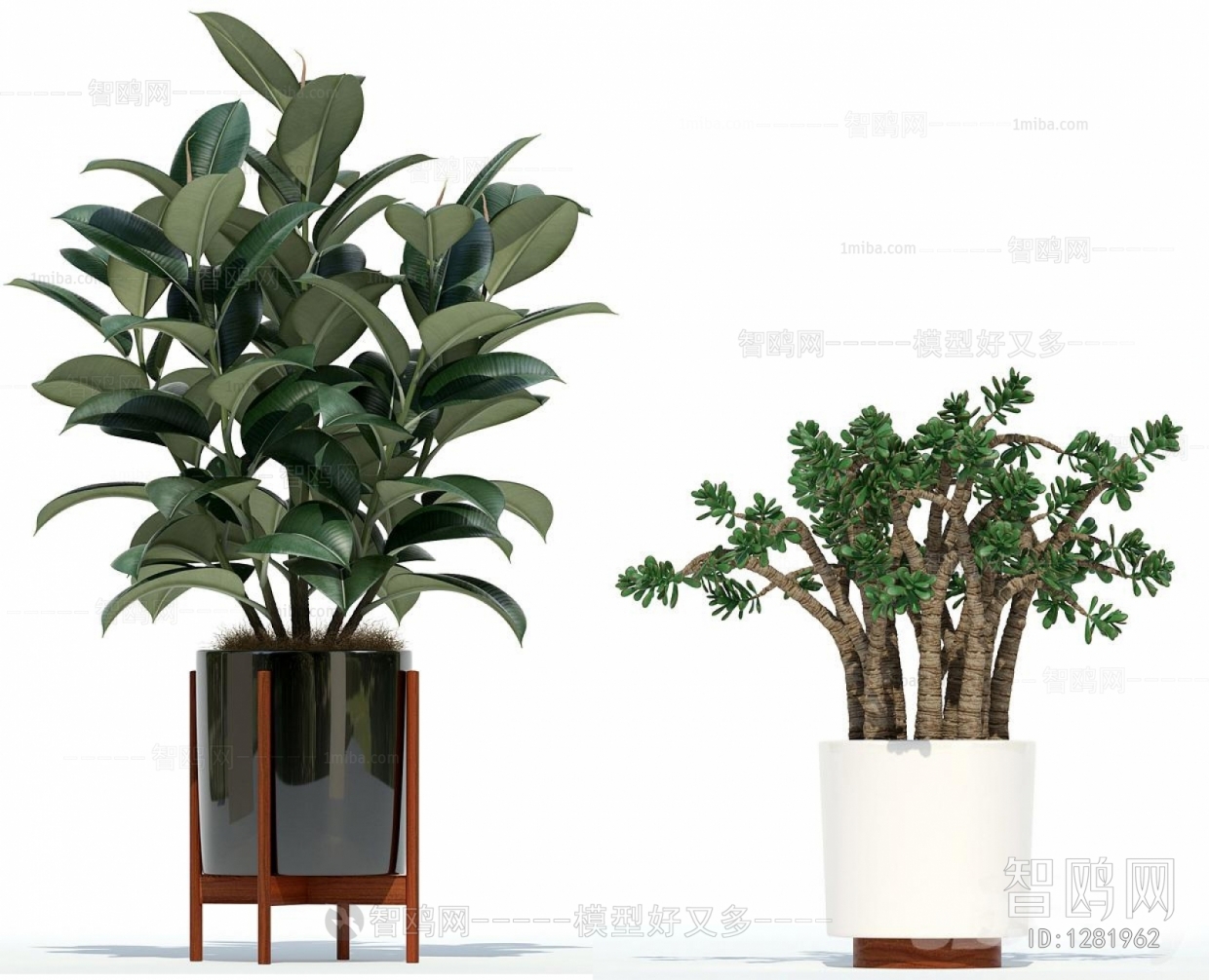 Modern Potted Green Plant