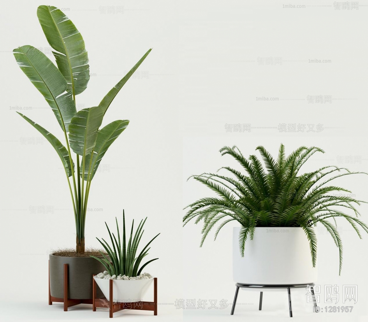 Modern Potted Green Plant