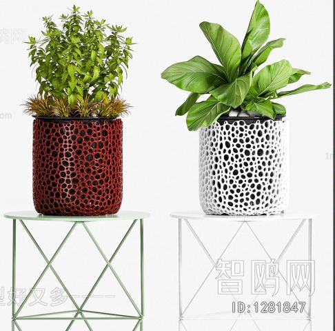 Modern Potted Green Plant