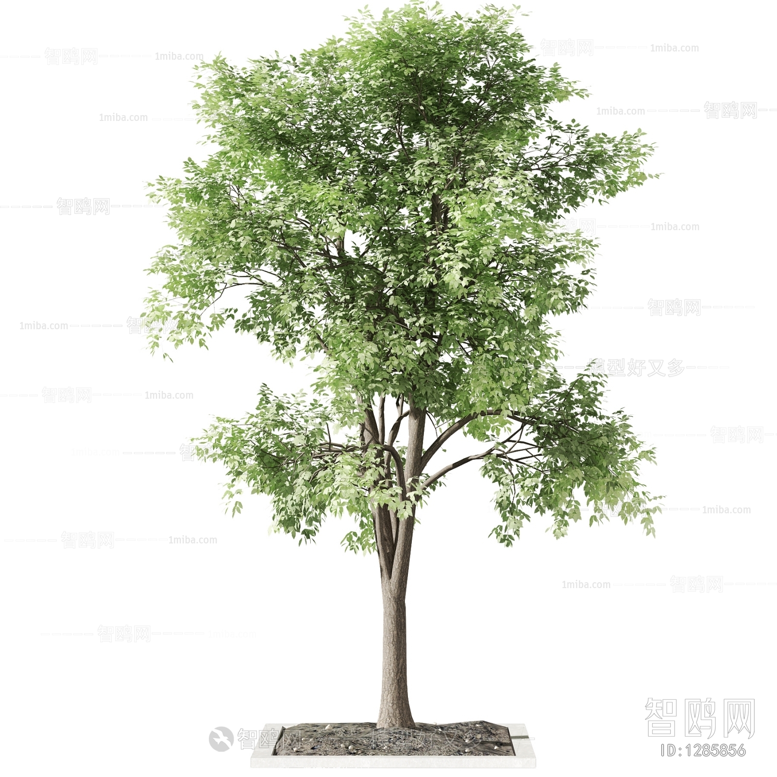 Modern Tree