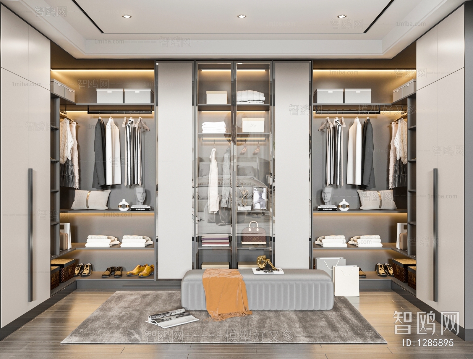 Modern Clothes Storage Area