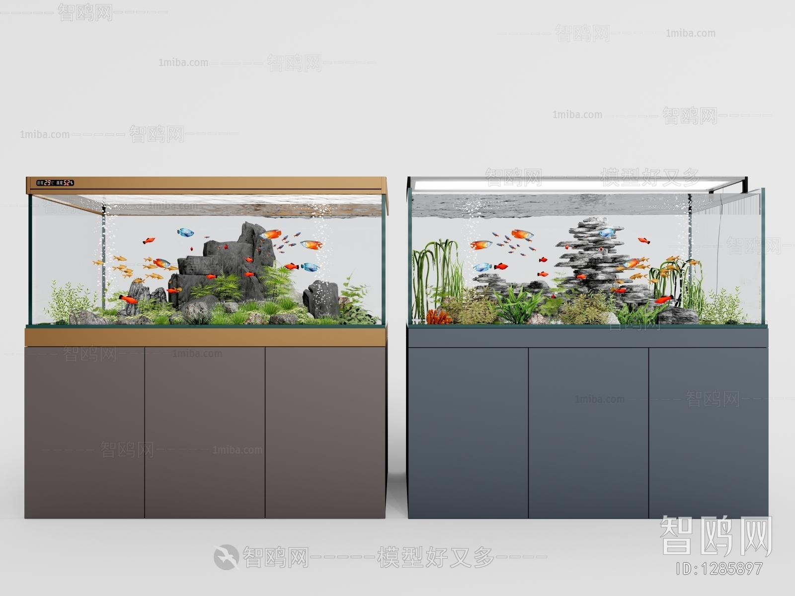 Modern Fish Tank