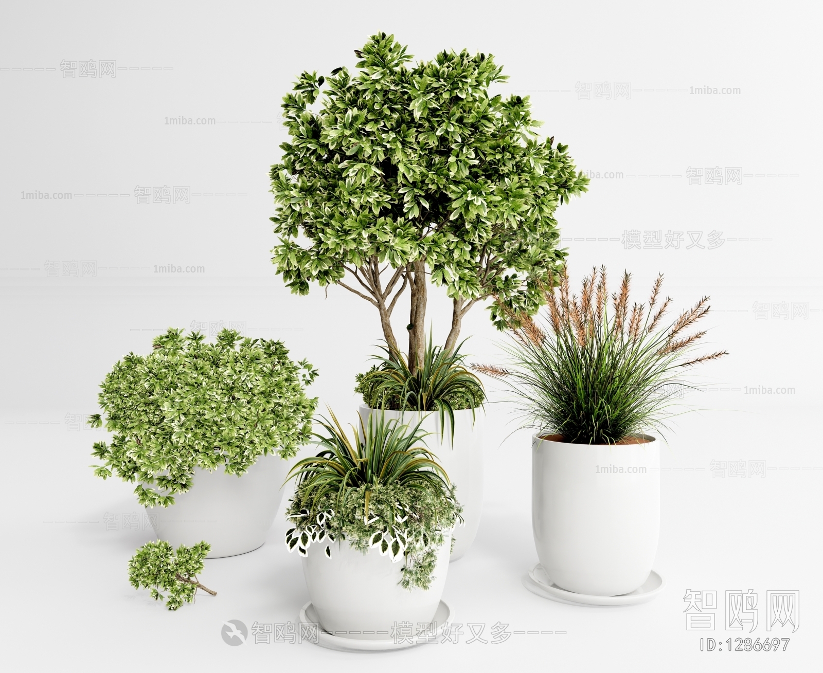 Modern Potted Green Plant