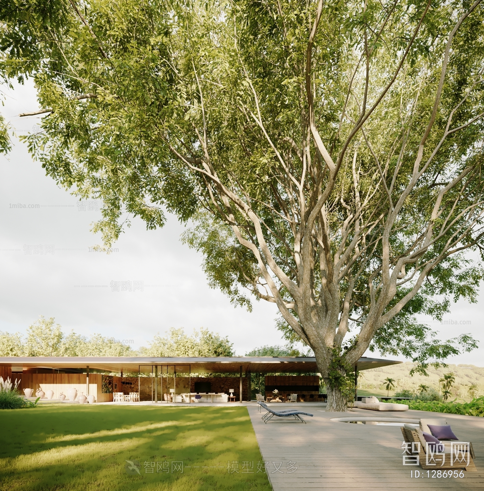 Modern Courtyard/landscape