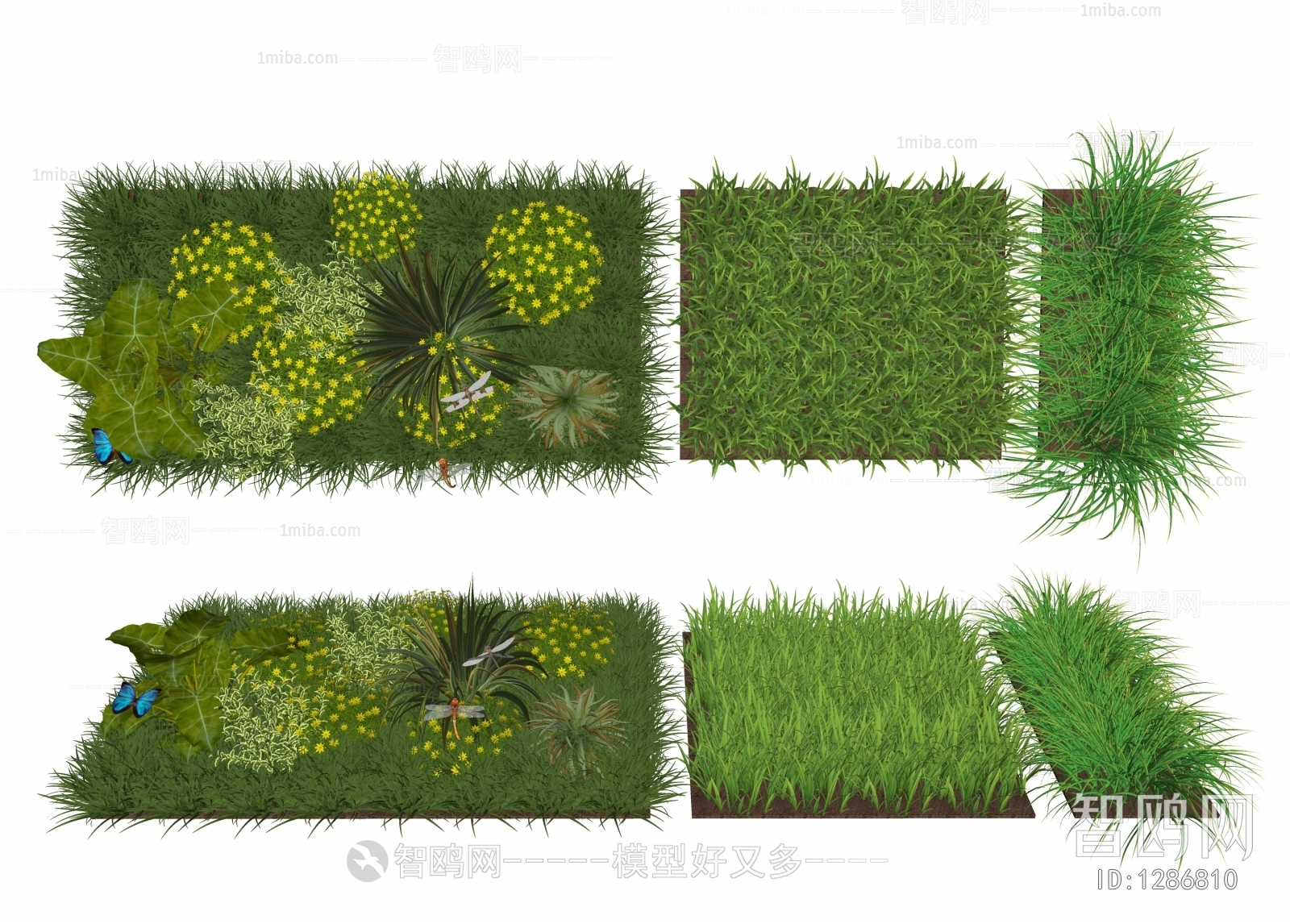 Modern The Grass