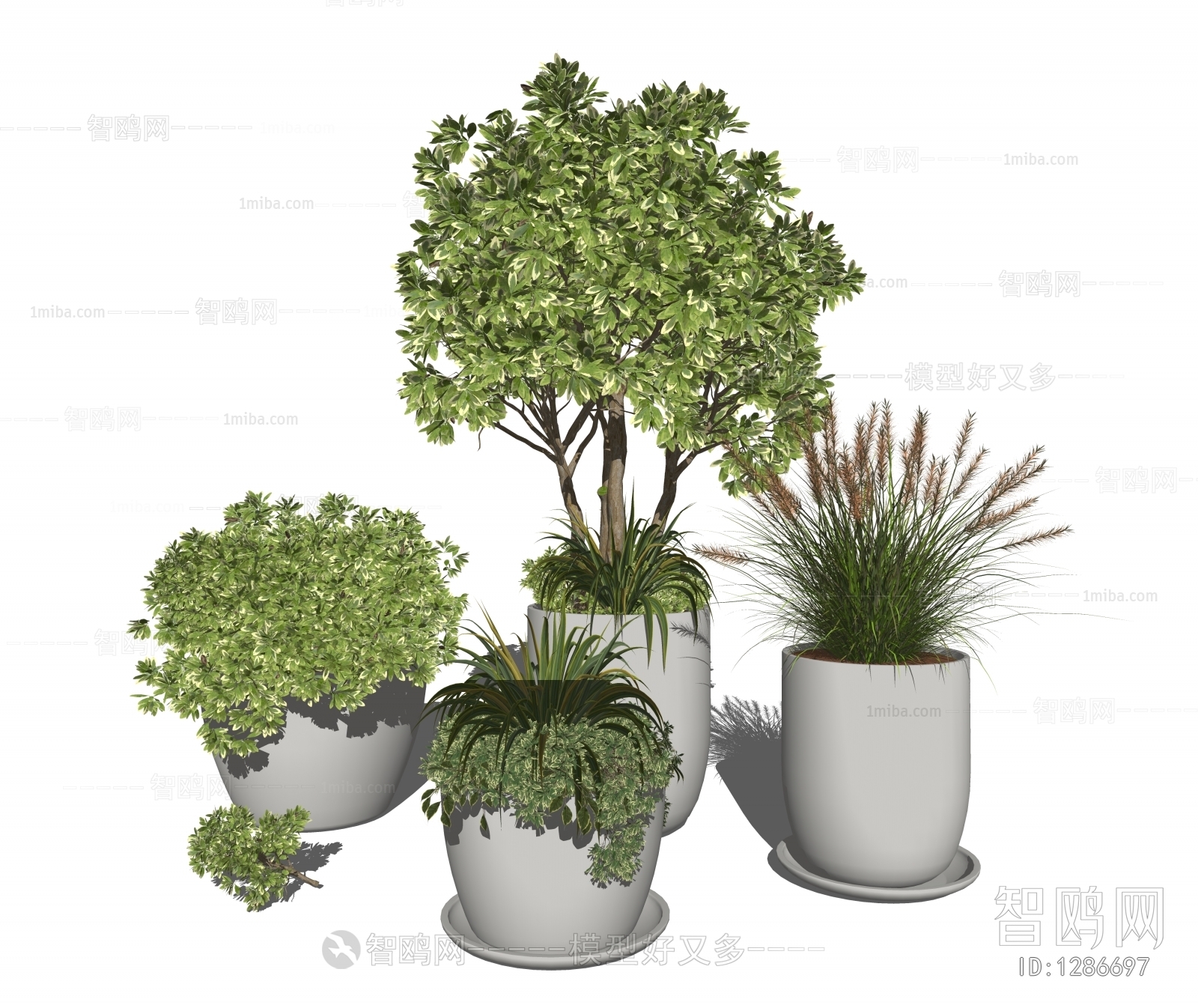 Modern Potted Green Plant