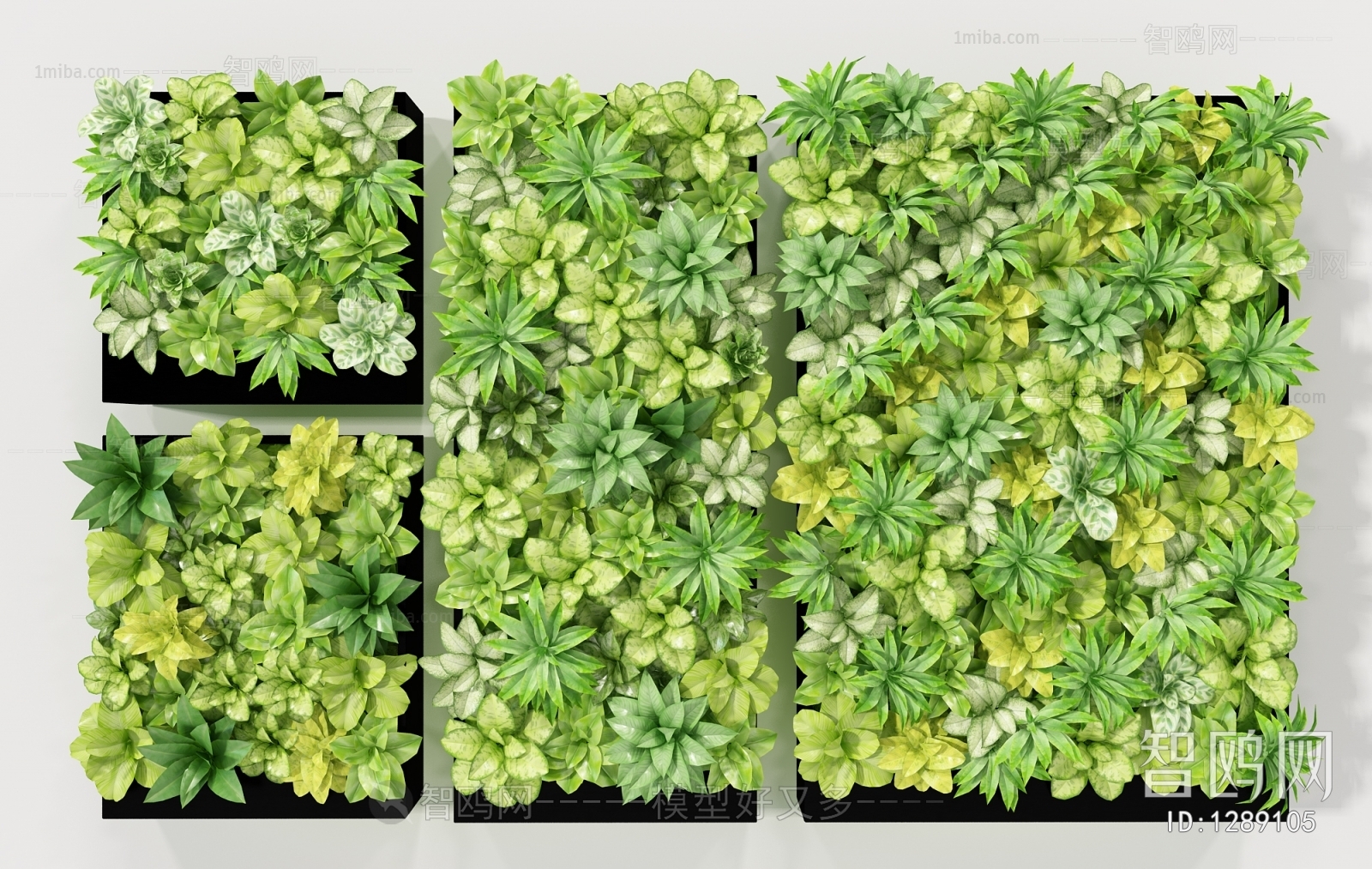 Modern Plant Wall