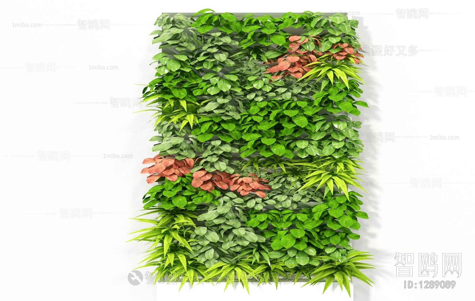 Modern Plant Wall