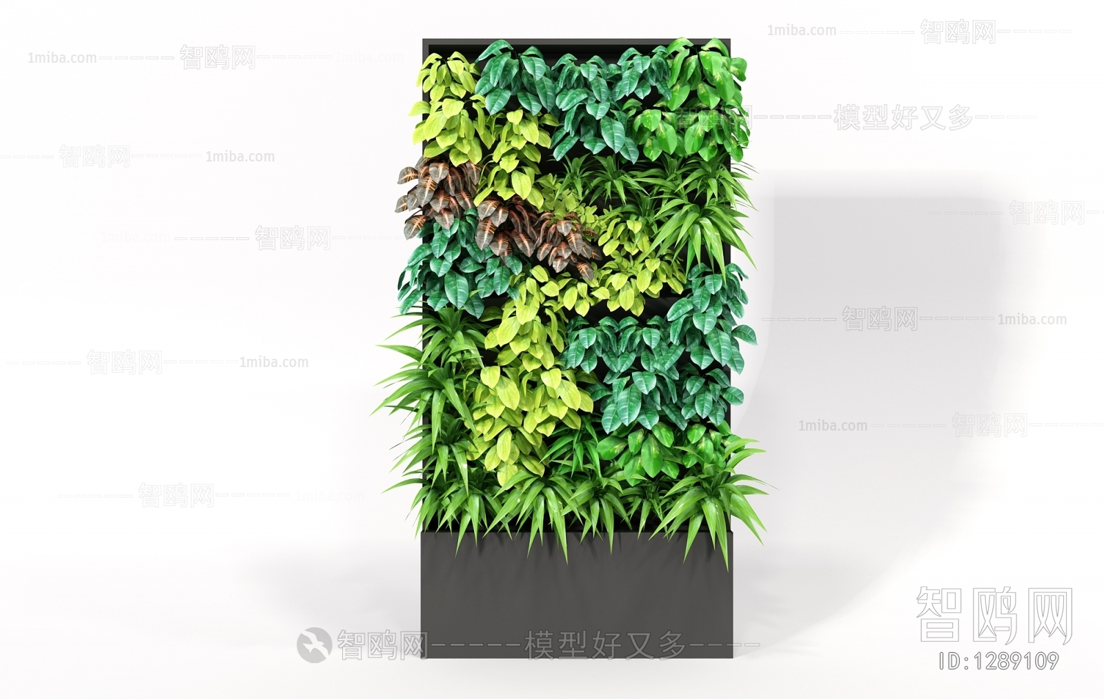 Modern Plant Wall