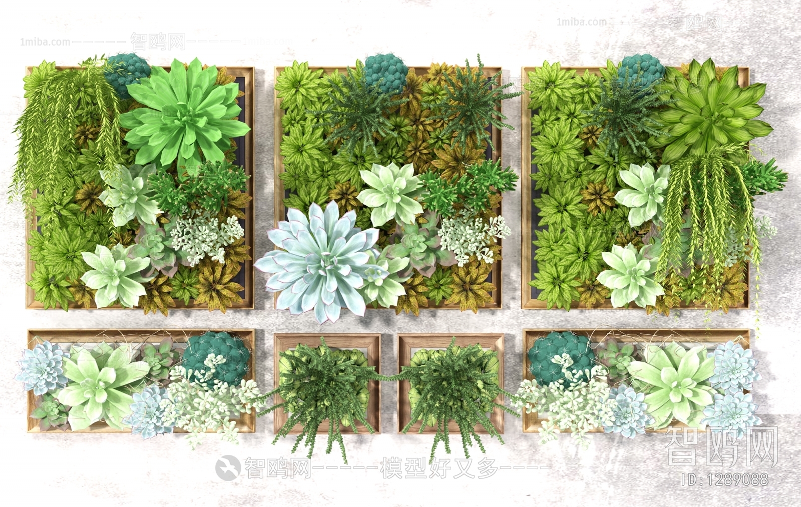 Modern Plant Wall