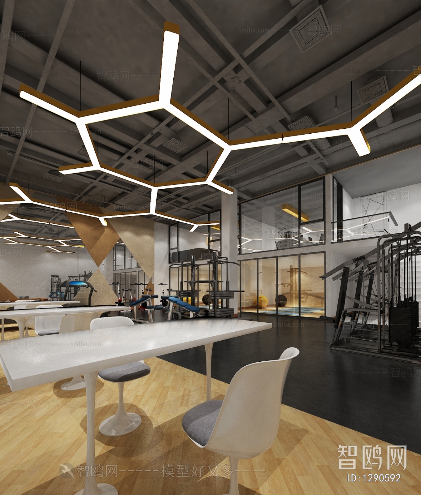 Modern Gym