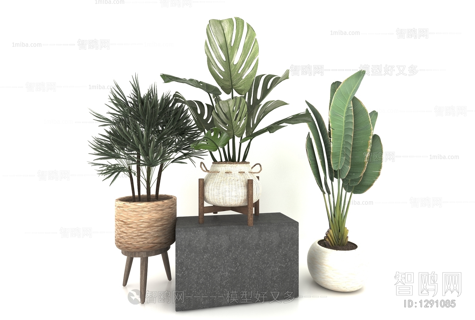 Modern Potted Green Plant