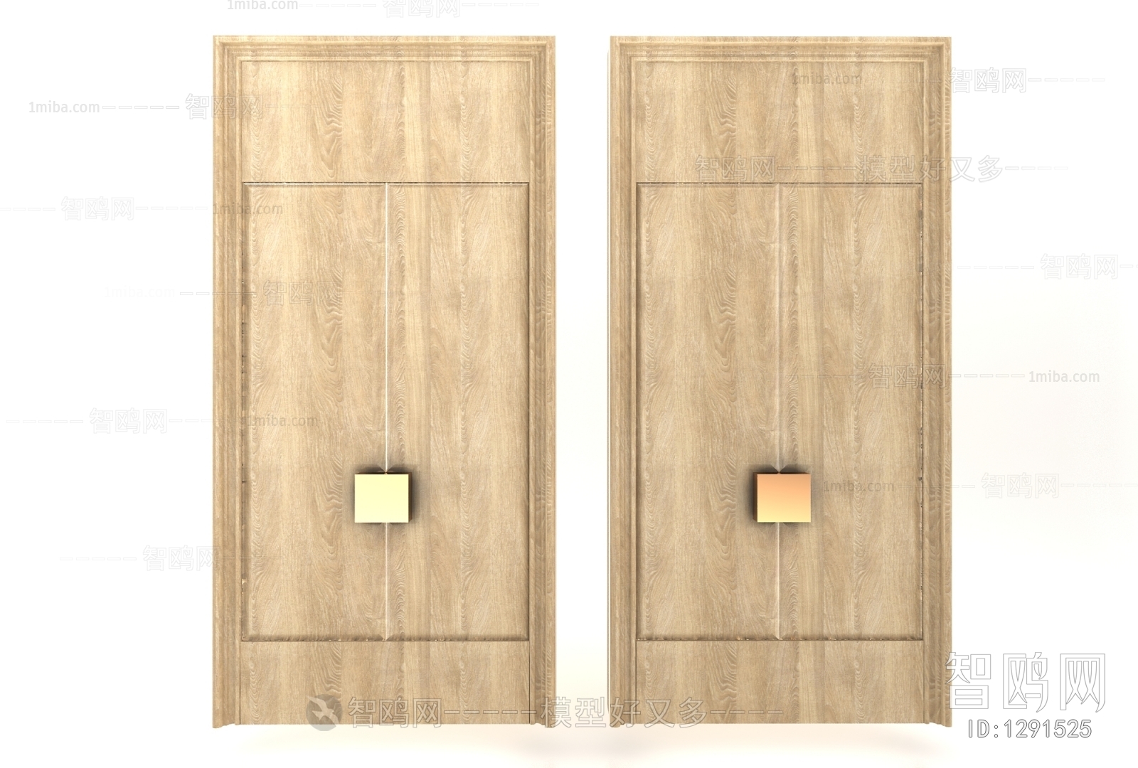 Modern Door