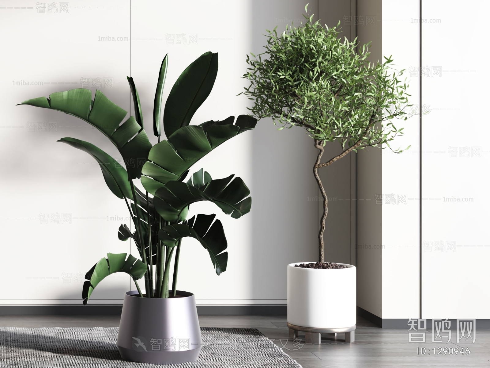 Modern Potted Green Plant