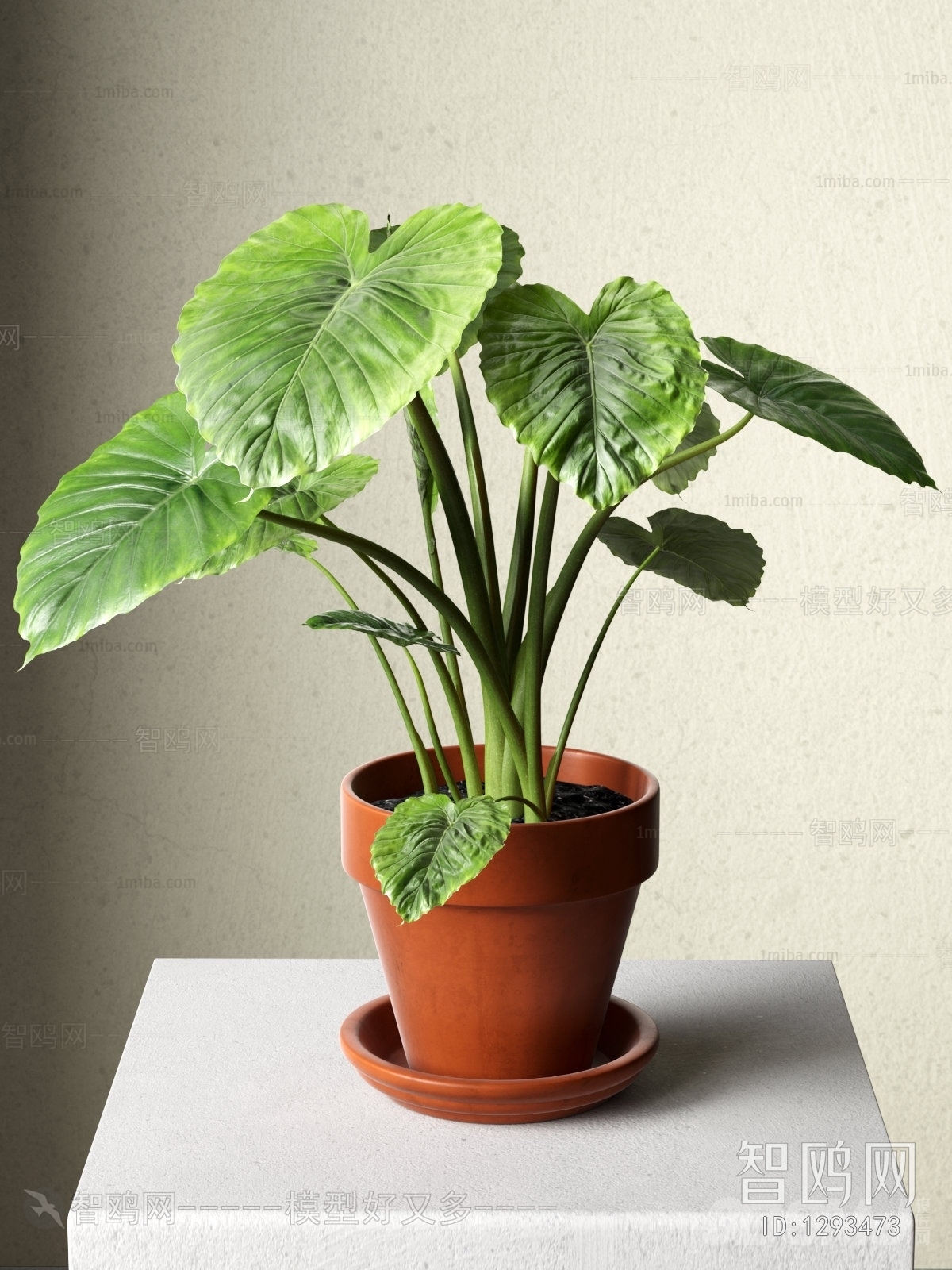 Modern Potted Green Plant