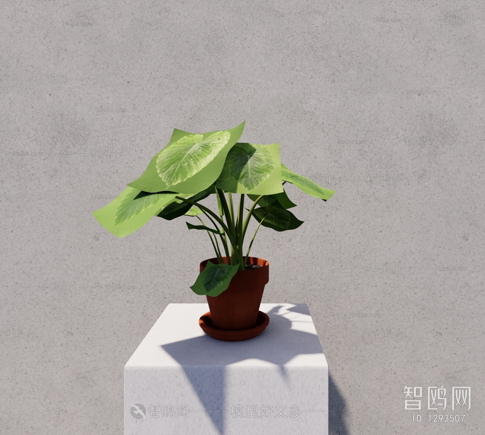 Modern Potted Green Plant