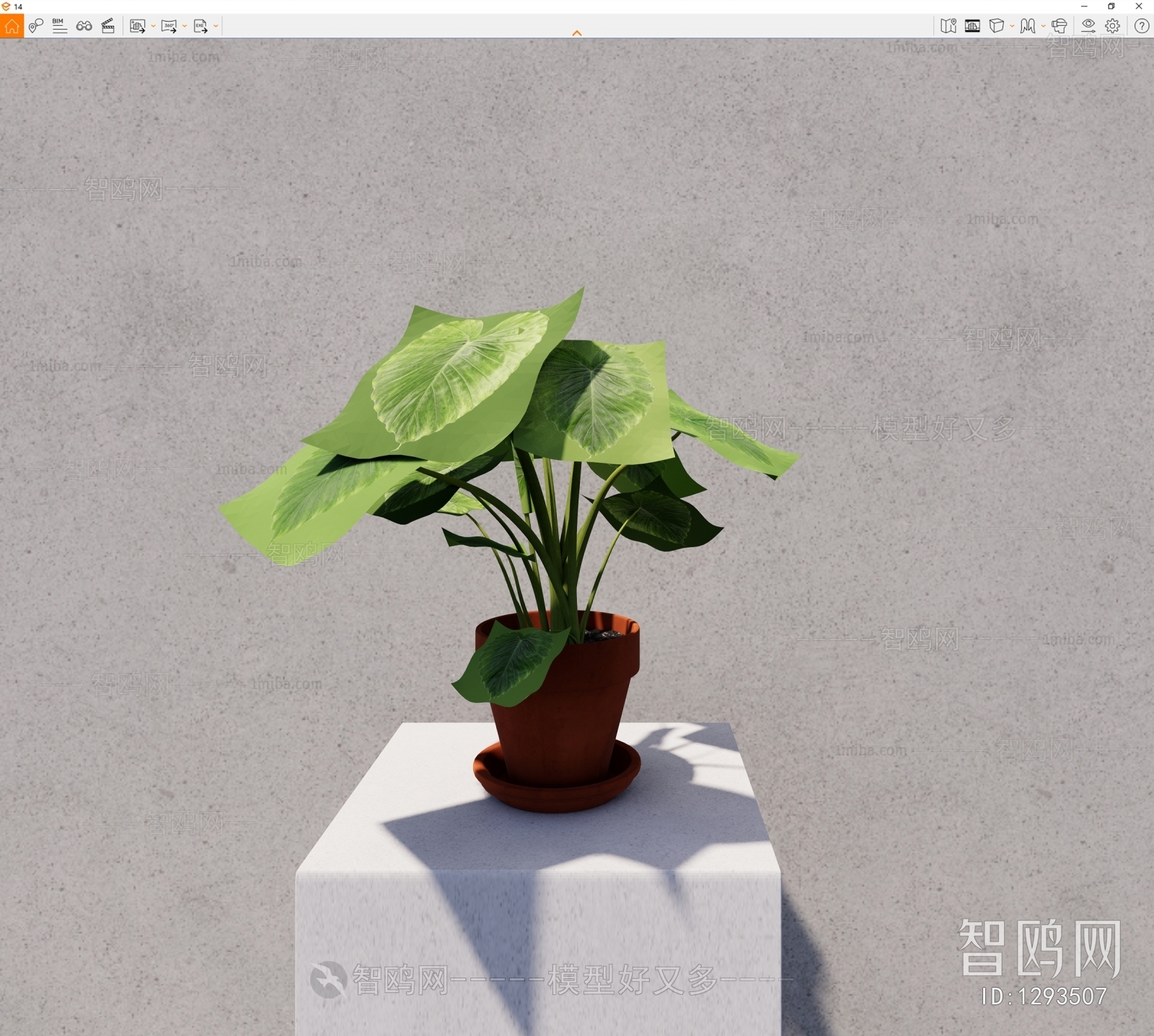 Modern Potted Green Plant