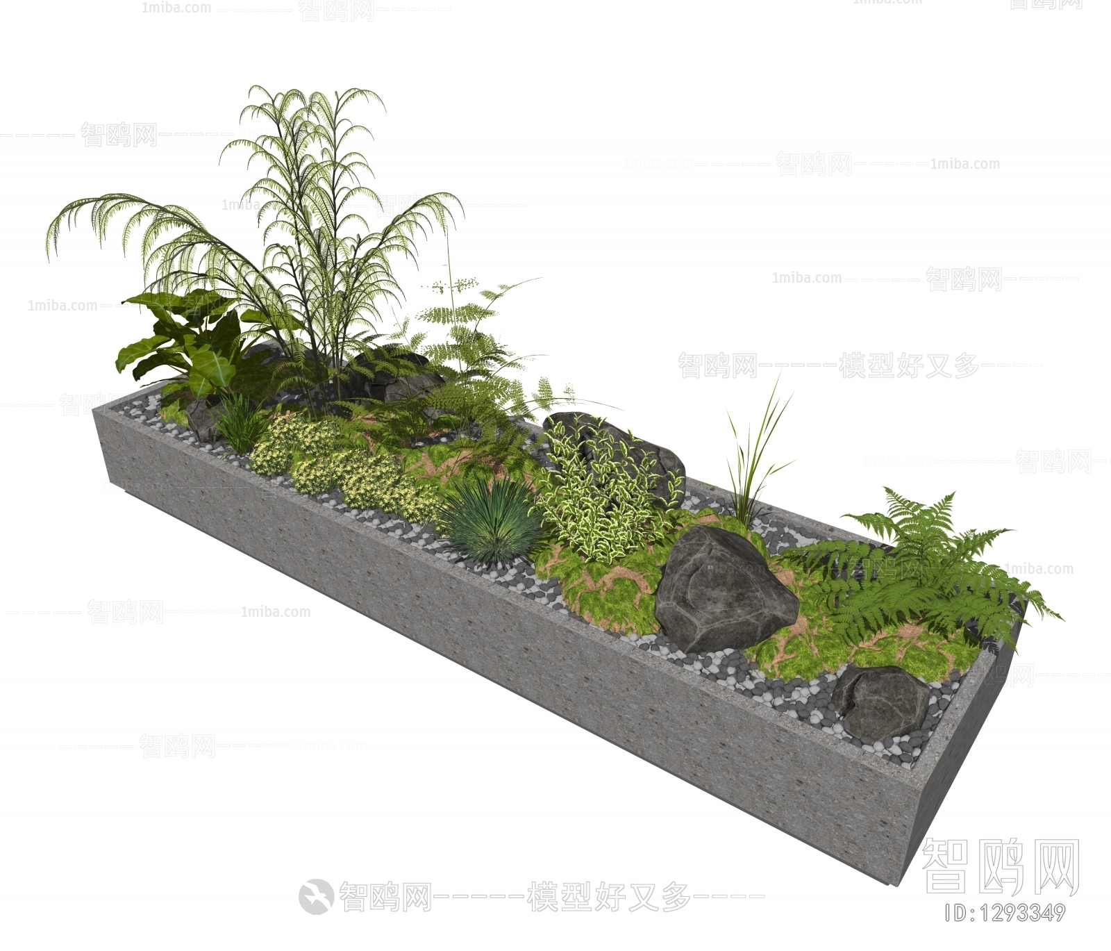 现代植物景观小品、苔藓
