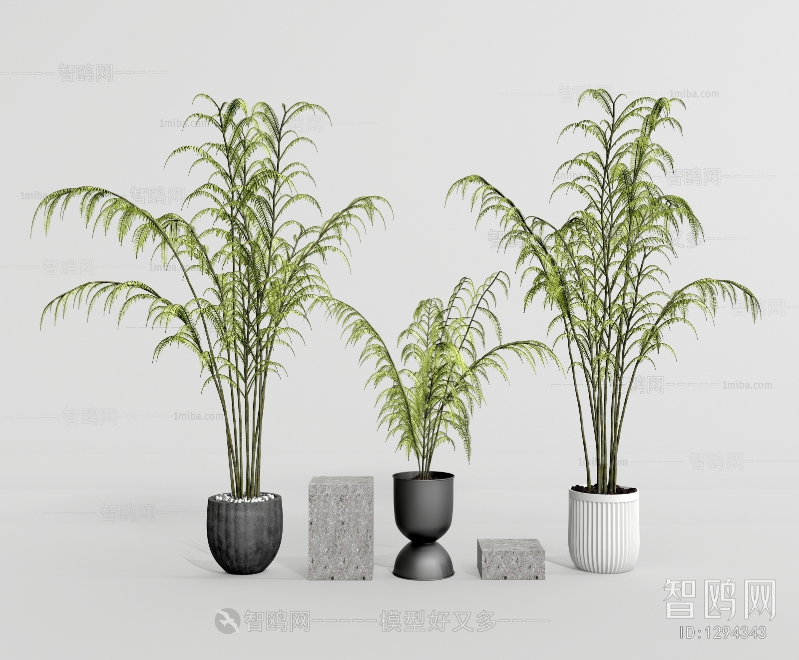 Modern Potted Green Plant