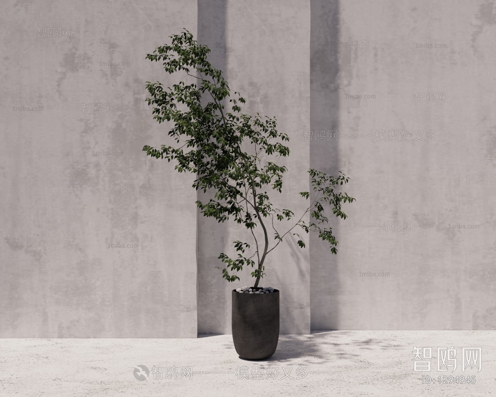 Modern Potted Green Plant