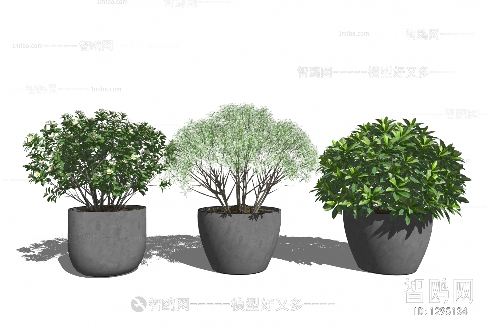 现代灌木盆栽3D模型下载