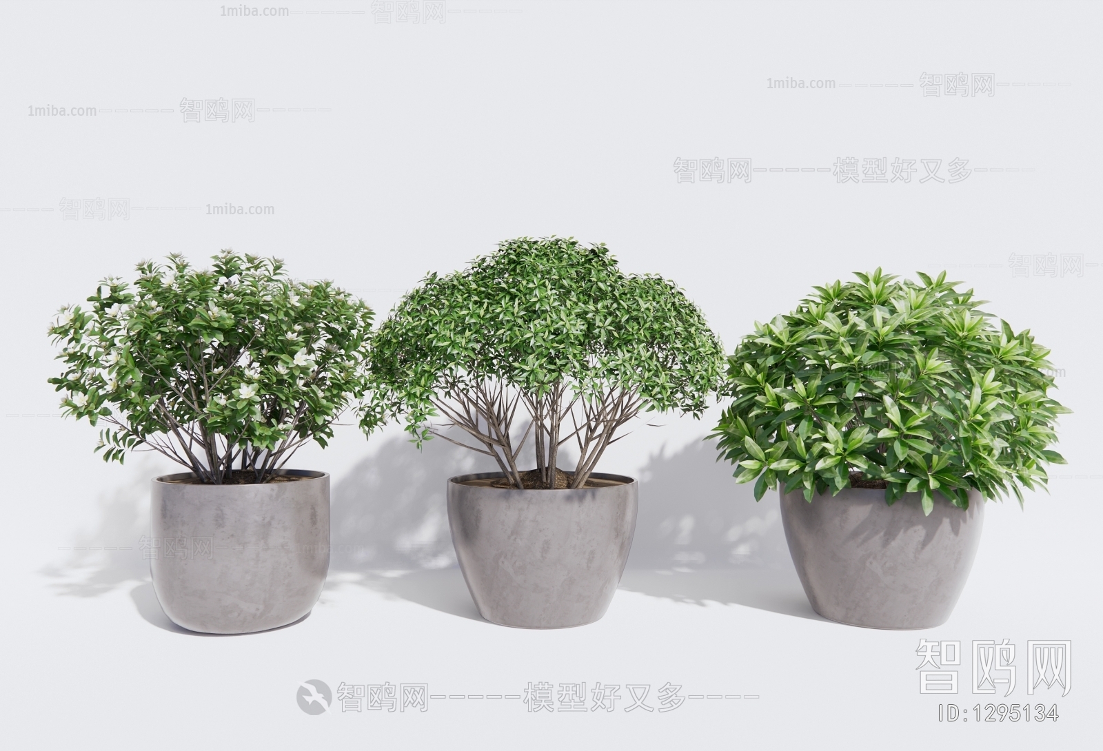 现代灌木盆栽3D模型下载