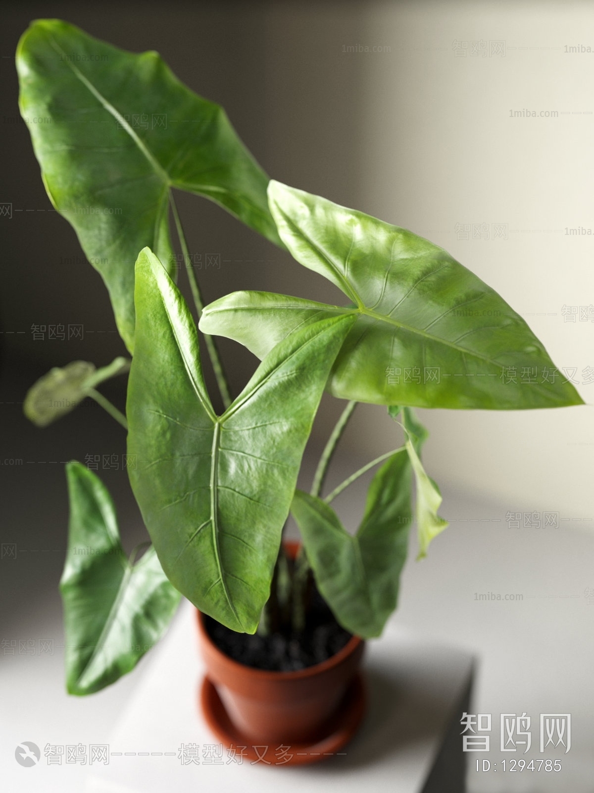 Modern Potted Green Plant