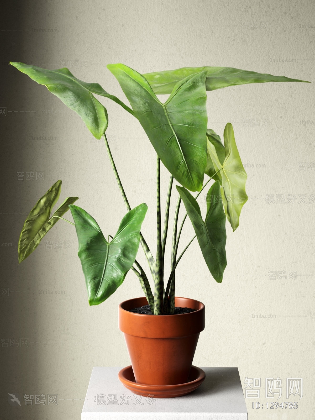 Modern Potted Green Plant