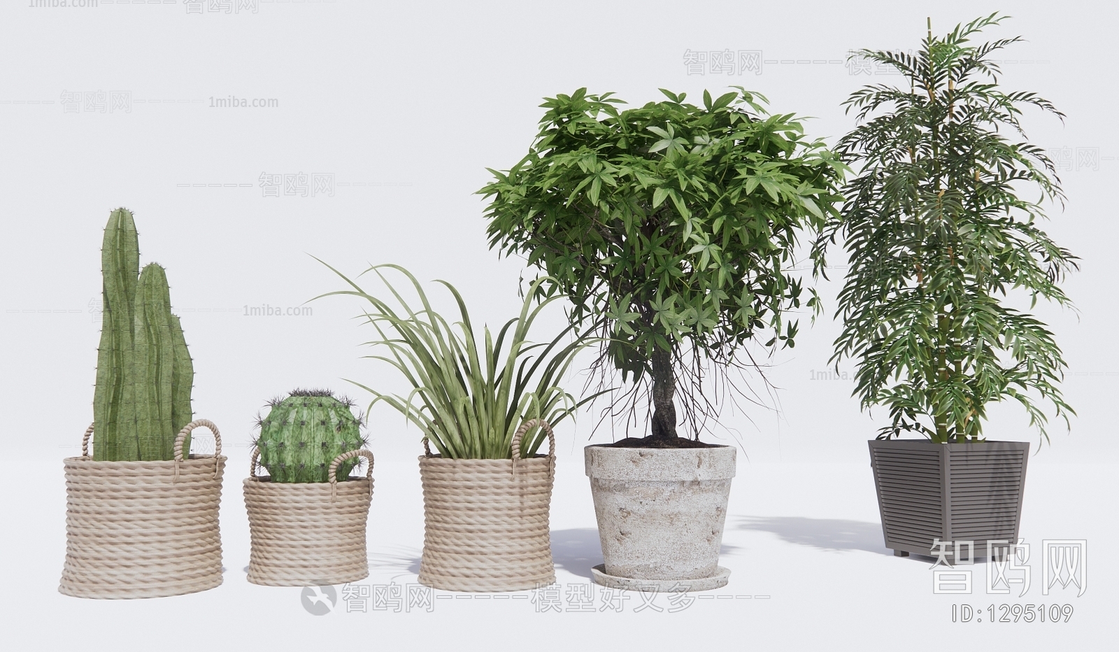 Modern Potted Green Plant