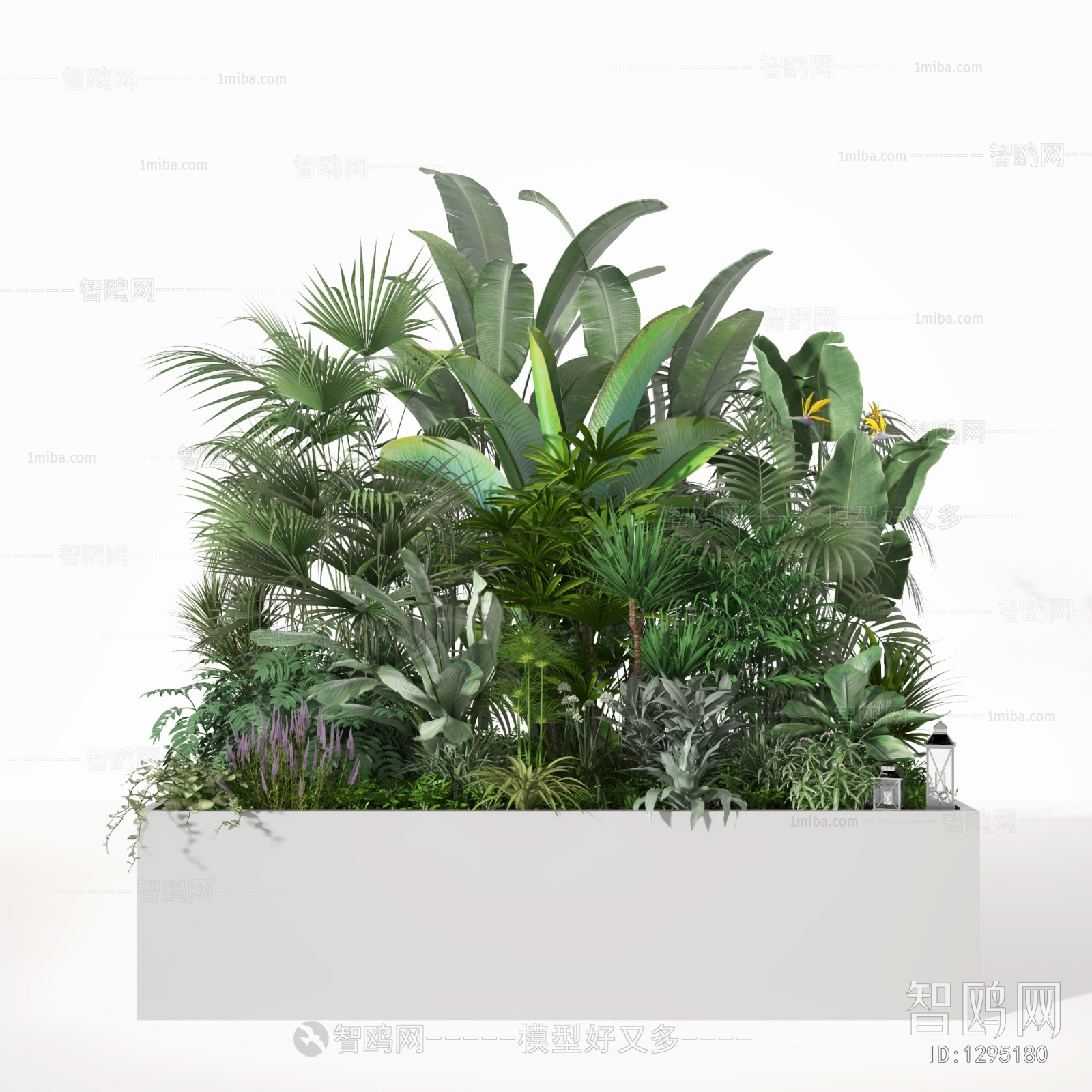 现代植物堆