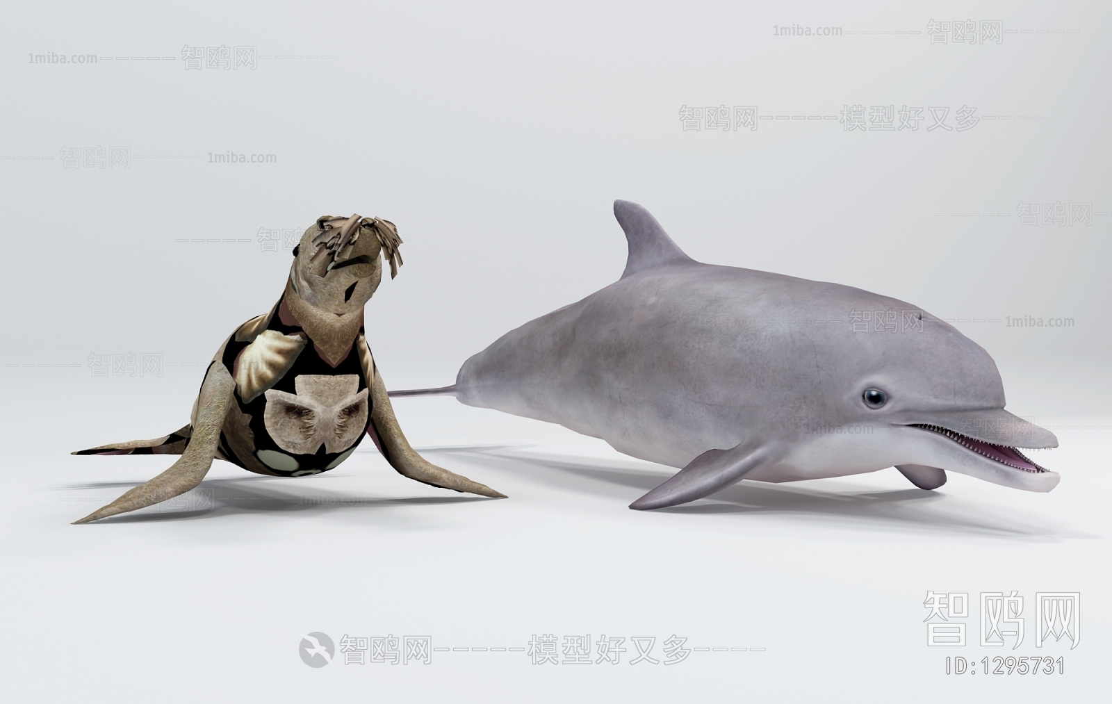 现代动物海豹 海豚