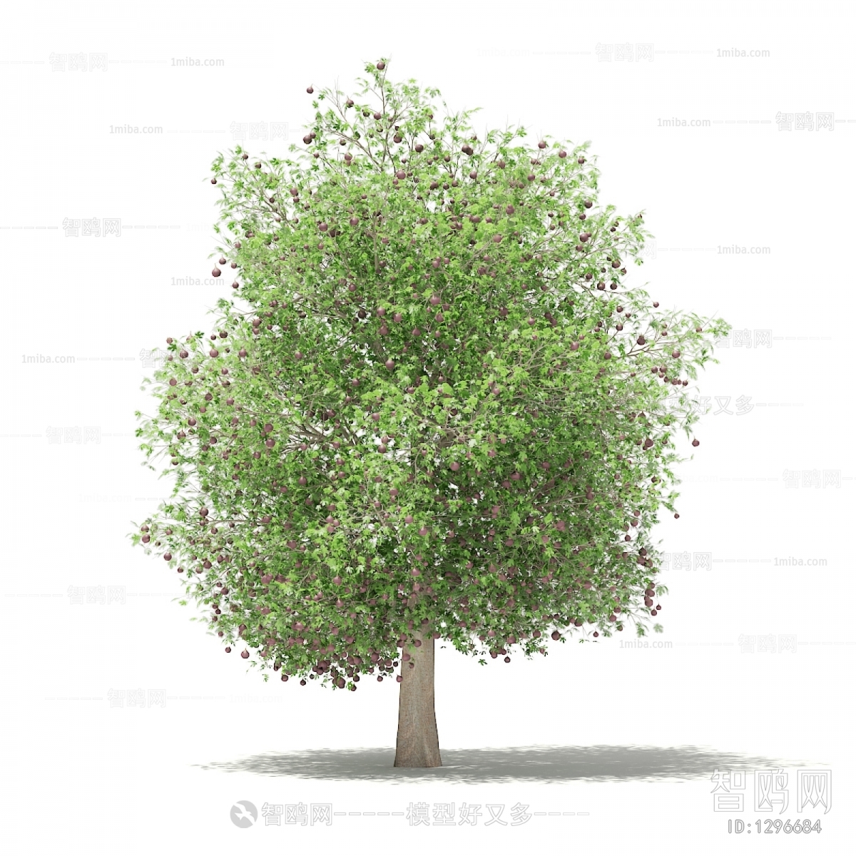 Modern Tree