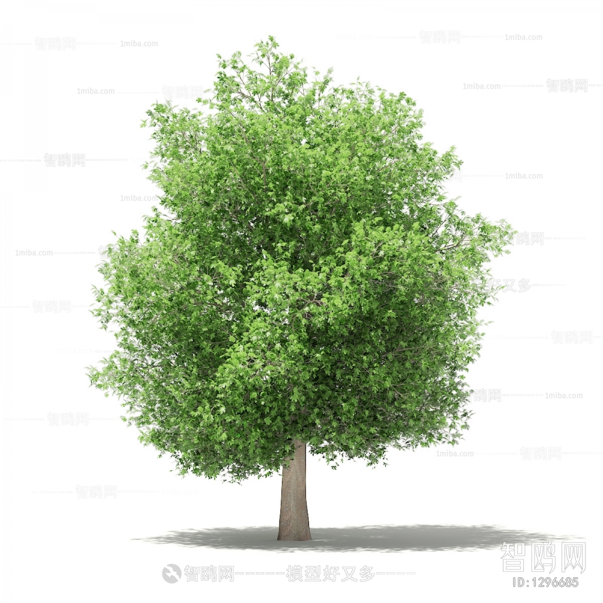 Modern Tree