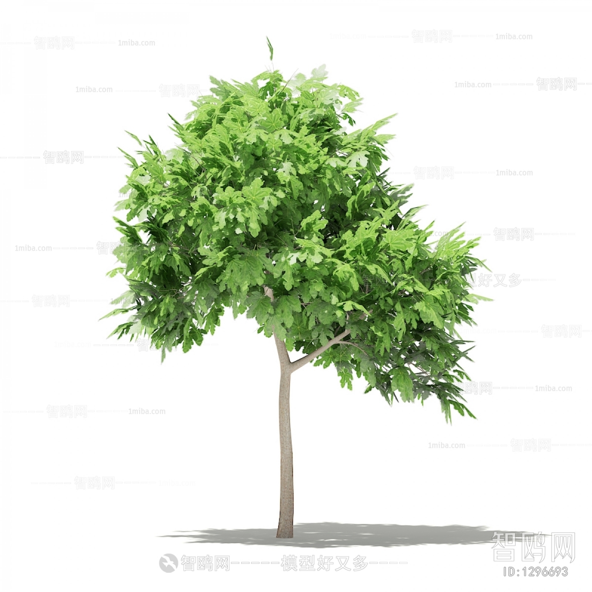 Modern Tree