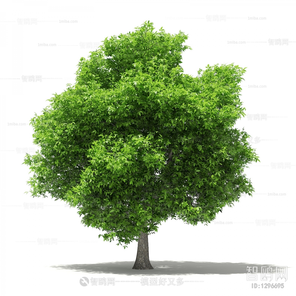 Modern Tree