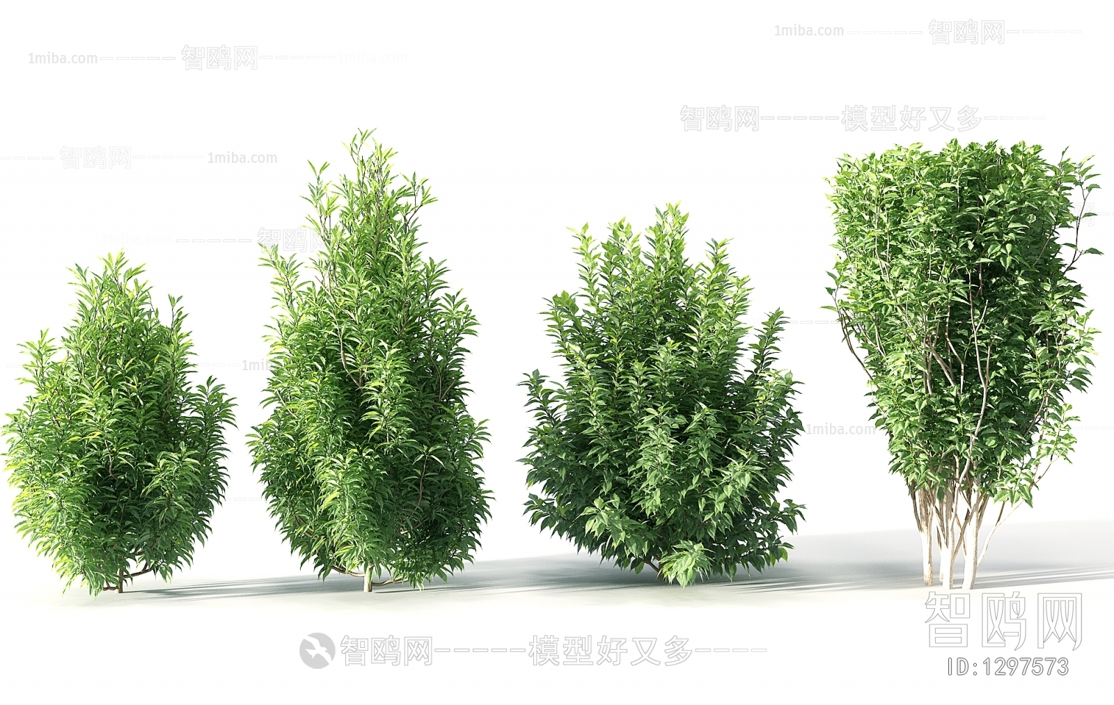 Modern Shrubbery