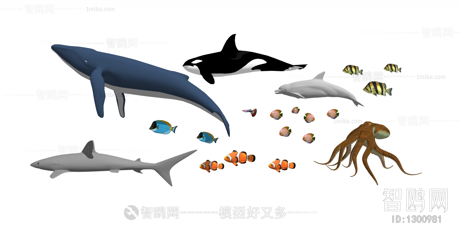 现代海洋生物 水生动物 鲸鱼 鱼