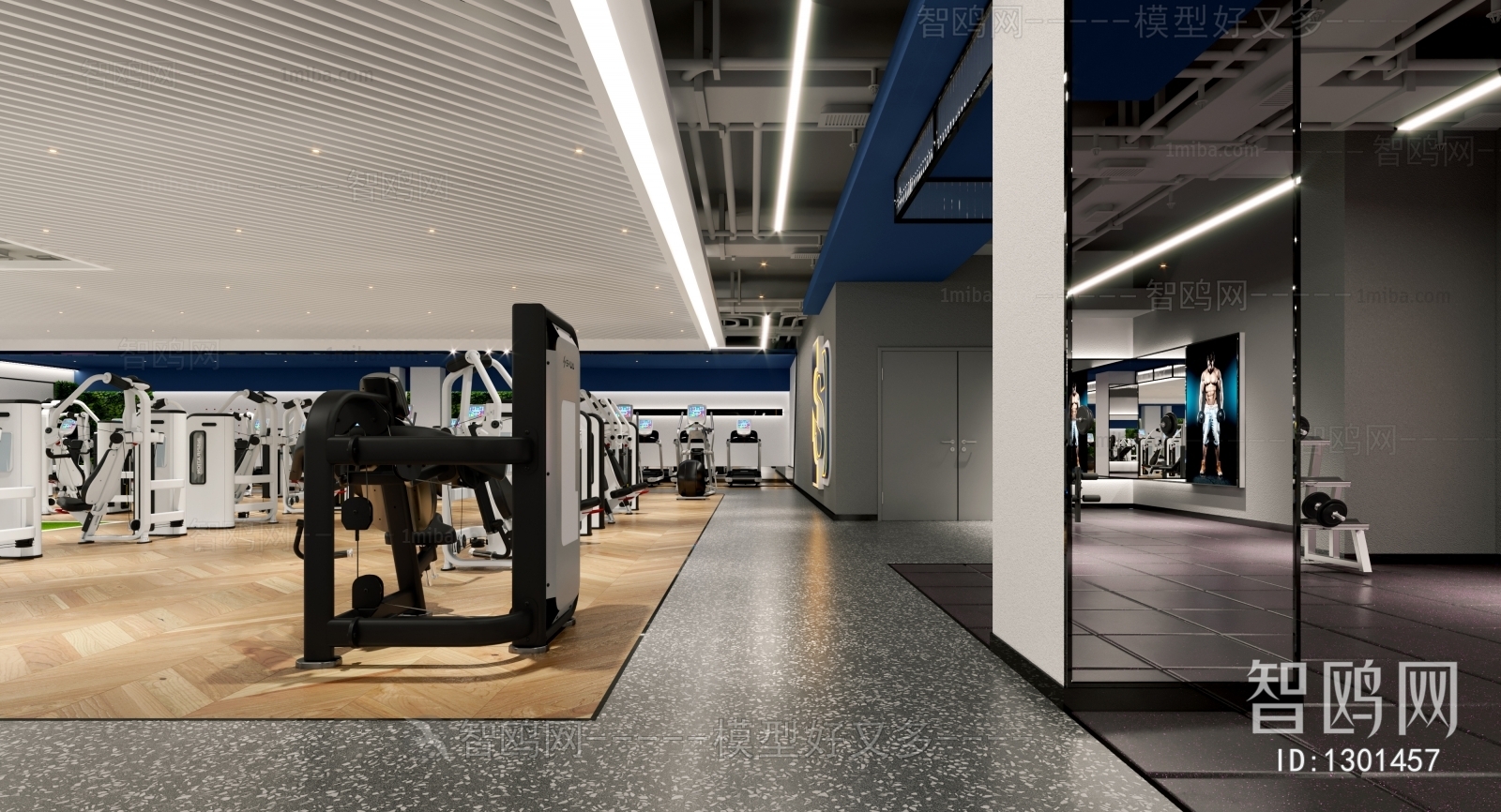 Modern Gym