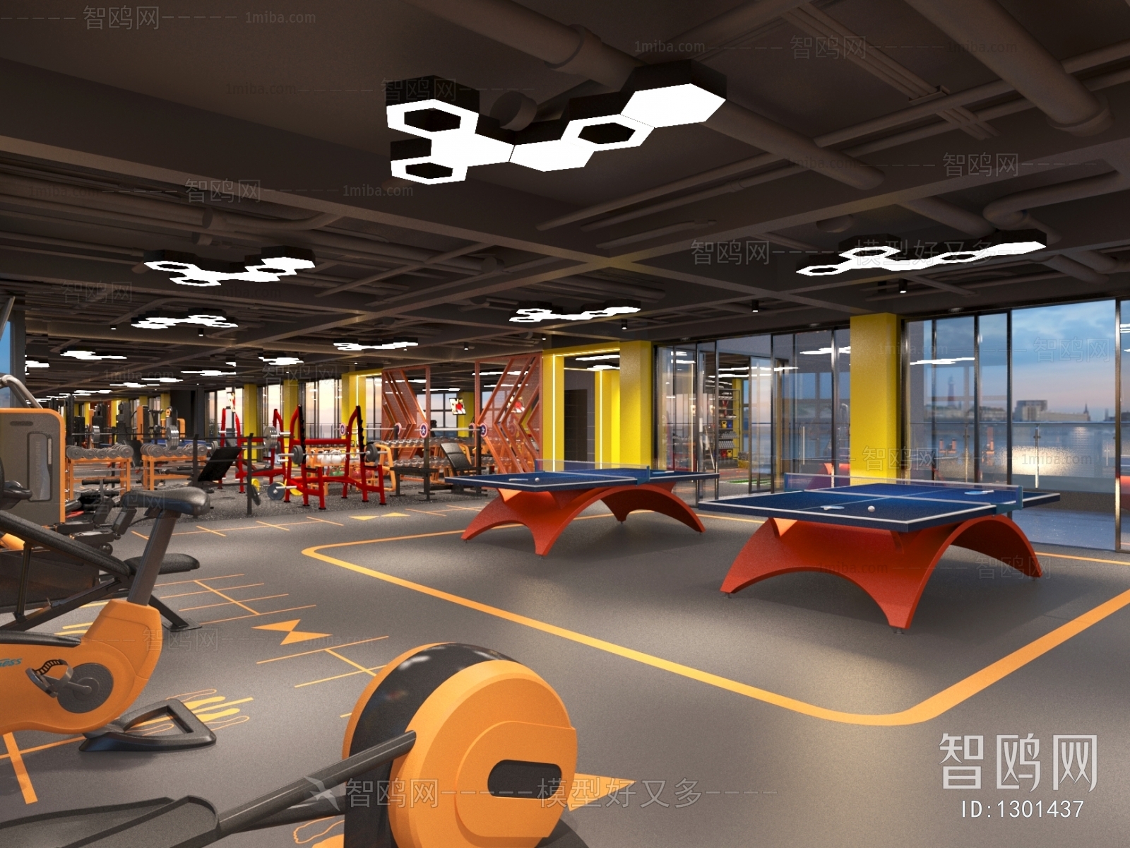 Industrial Style Gym