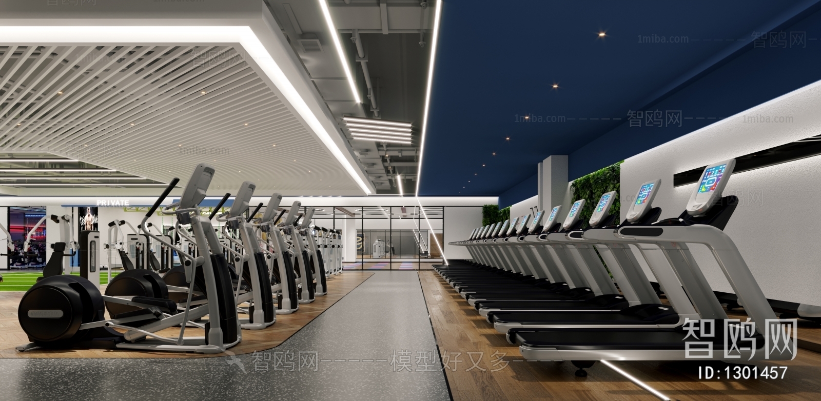 Modern Gym