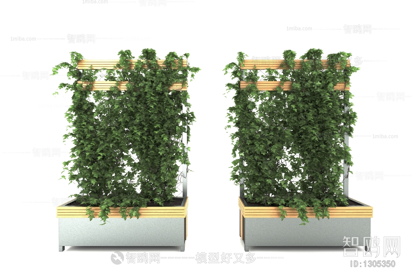 Modern Potted Green Plant