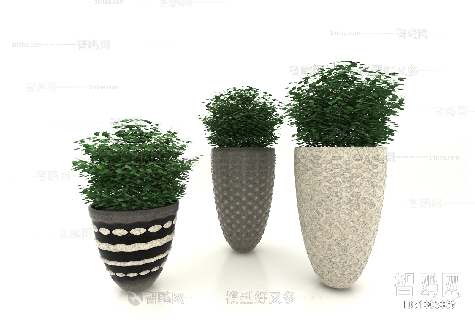 Modern Potted Green Plant