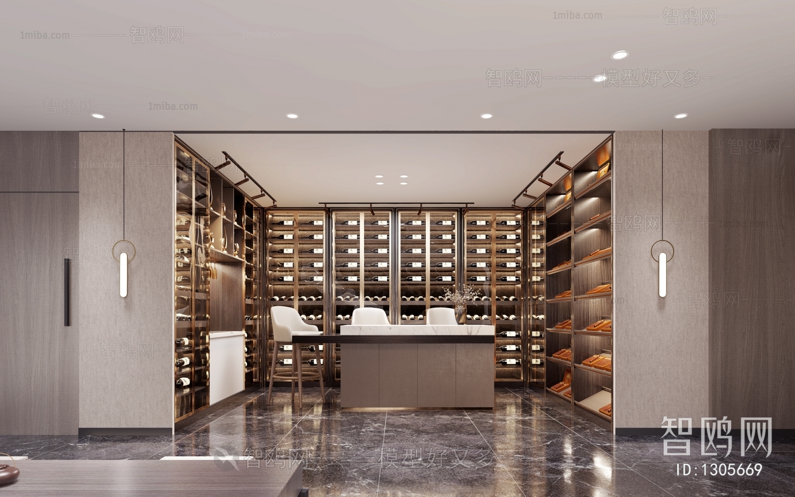 Modern Wine Cellar/Wine Tasting Room