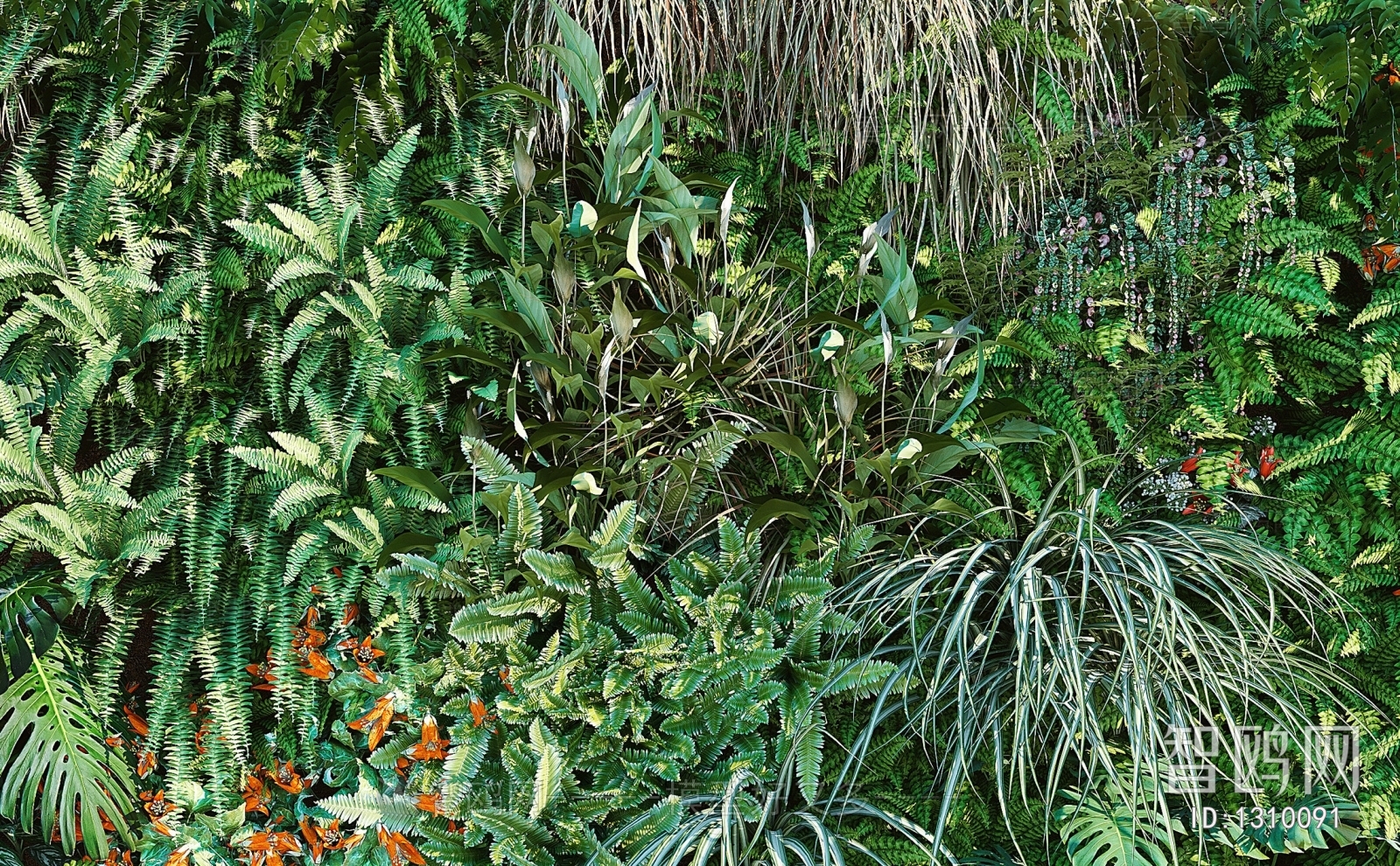 现代植物墙