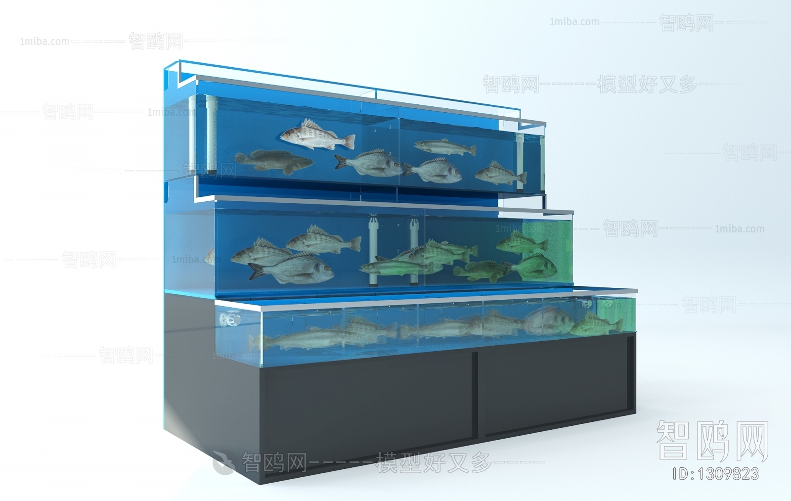 Modern Fish Tank