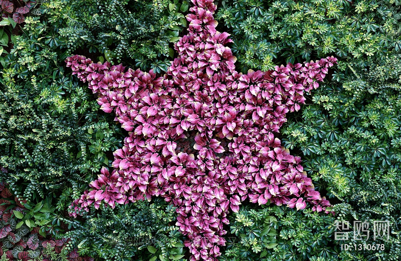 Modern Plant Wall